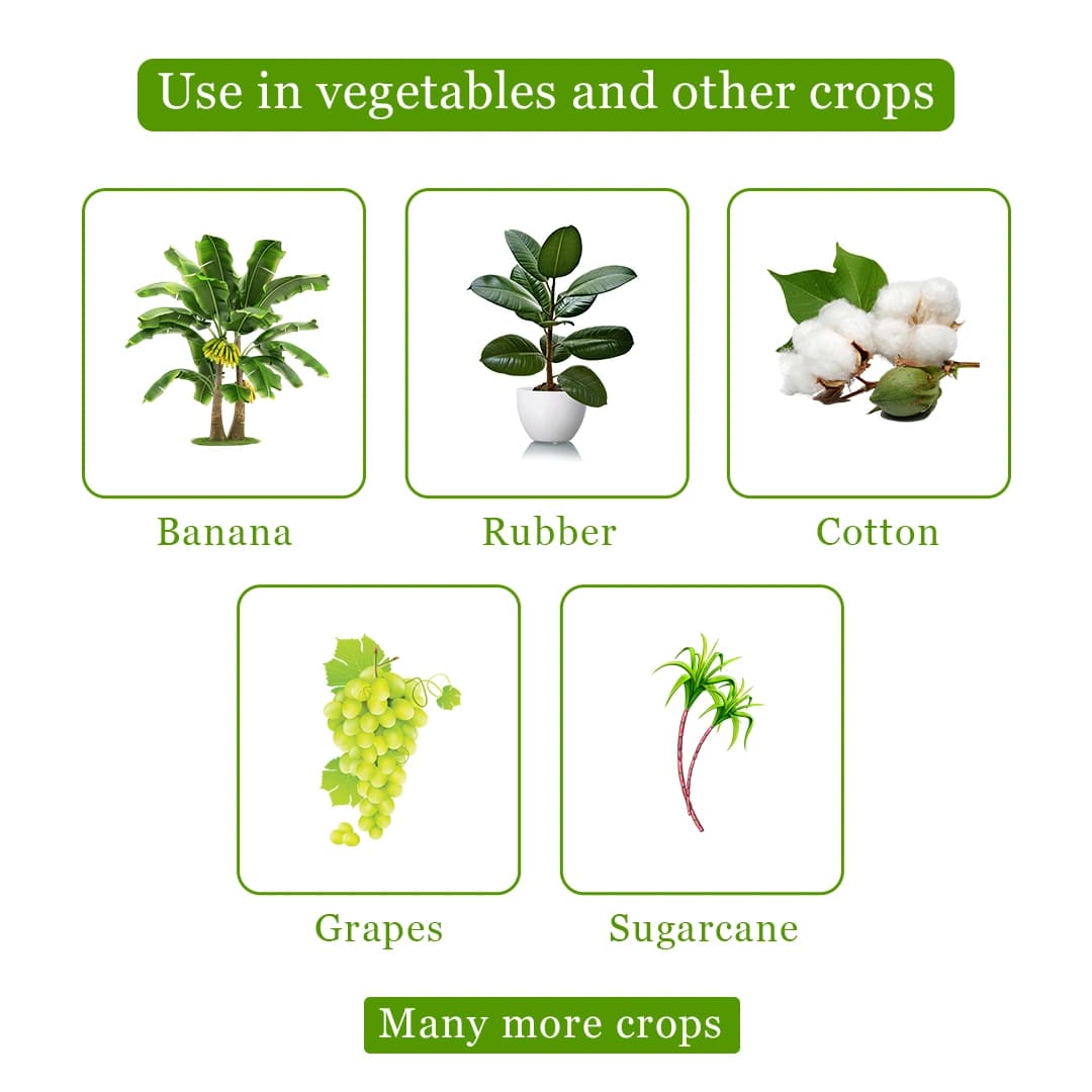 Adama Diurex Herbicide - Image 4
