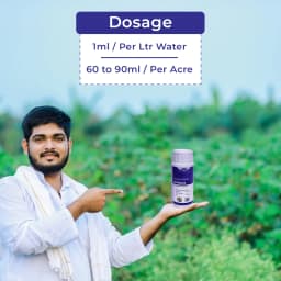 Katyayani Spino 45 Spinosad 45% SC Insecticide, Used For The Control Of Resistant Helicoverpa In Cotton And Red Gram 5