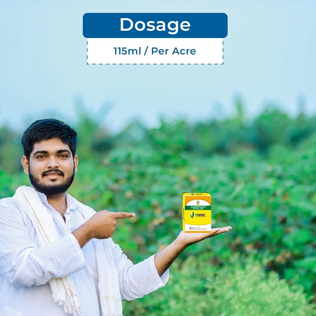 Thakar Chemicals TOEDIS Tembotrione 34.4% SC Herbicide, Post Emergence, Broad-Spectrum, Efficient For Broadleaf And Grassy Weeds In Corn - Image 5