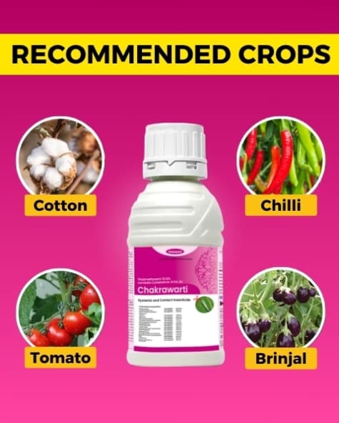 Katyayani Chakrawarti Thiamethoxam 12.6% + Lambda cyhalothrin 9.5% ZC Dual Mode Insecticide For Plants - Image 7