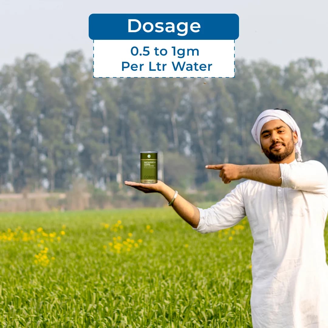 Anand Agro Instafert X Combi Contain Amino Chelated Forms Of Iron, Manganese, Zinc Copper, Boron, Molybdenum - Image 5