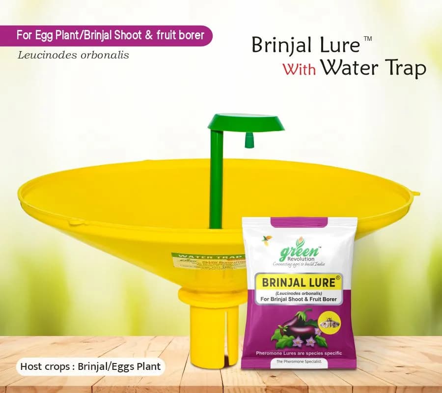 Water Pheromone Trap with Brinjal Lure (Leucinodes Orbonalis) For Brinjal Fruit and Shoot Borer Insect. - Image 2