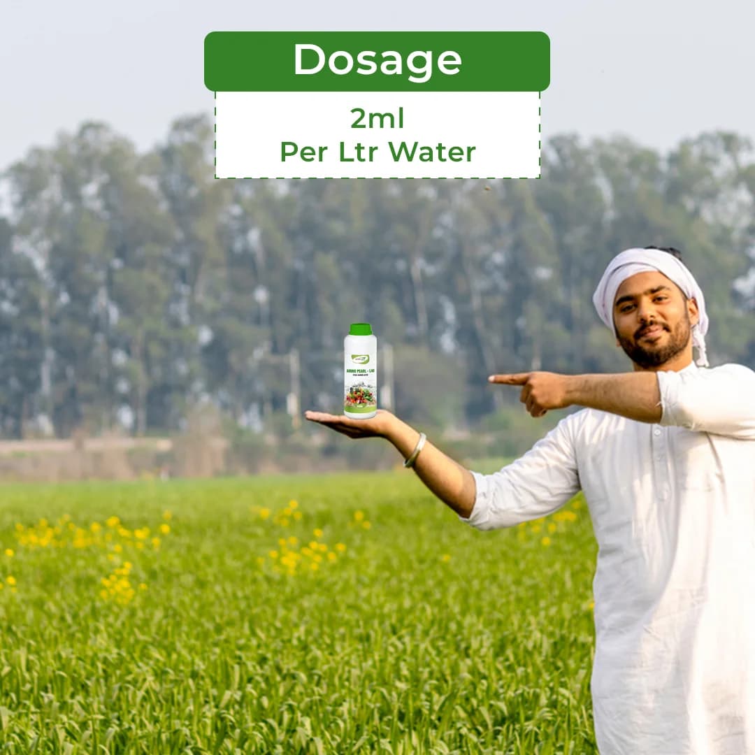 Amino Pearl- L40 - Fish Amino Acid Fertilizer - Image 5