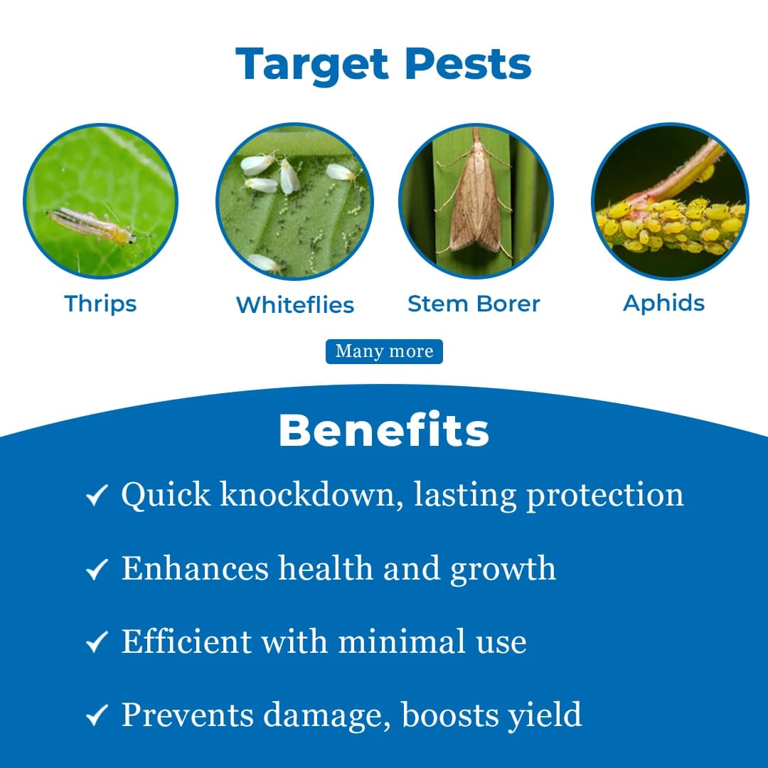 Sumitomo Kemlox 725 Quinalphos 25% EC Insecticide, Sucking And Chewing Pests In Cotton, Paddy And Oilseeds - Image 3