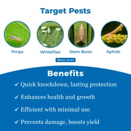 Sumitomo Kemlox 725 Quinalphos 25% EC Insecticide, Sucking And Chewing Pests In Cotton, Paddy And Oilseeds 3