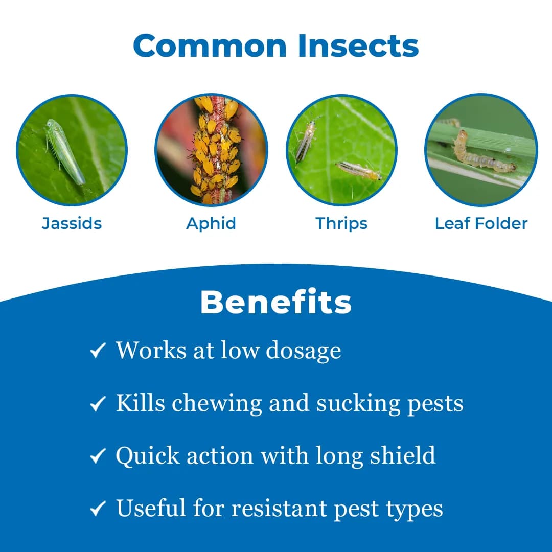 EBS Emaan Plus Emamectin Benzoate 3.0% +Thiamethoxam 12.0% WG, Broad Spectrum Insecticide - Image 4