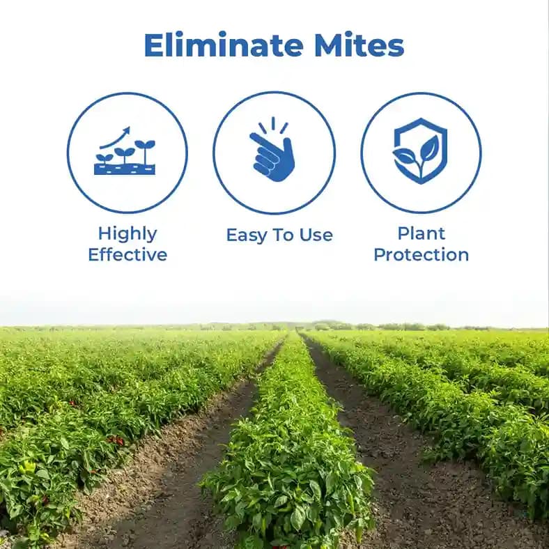 Godrej Hanabi Insecticide - Image 3