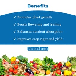 Sumitomo Progibb Easy Gibberellic Acid 40% WSG Plant Growth Regulator Used For All Crops 4