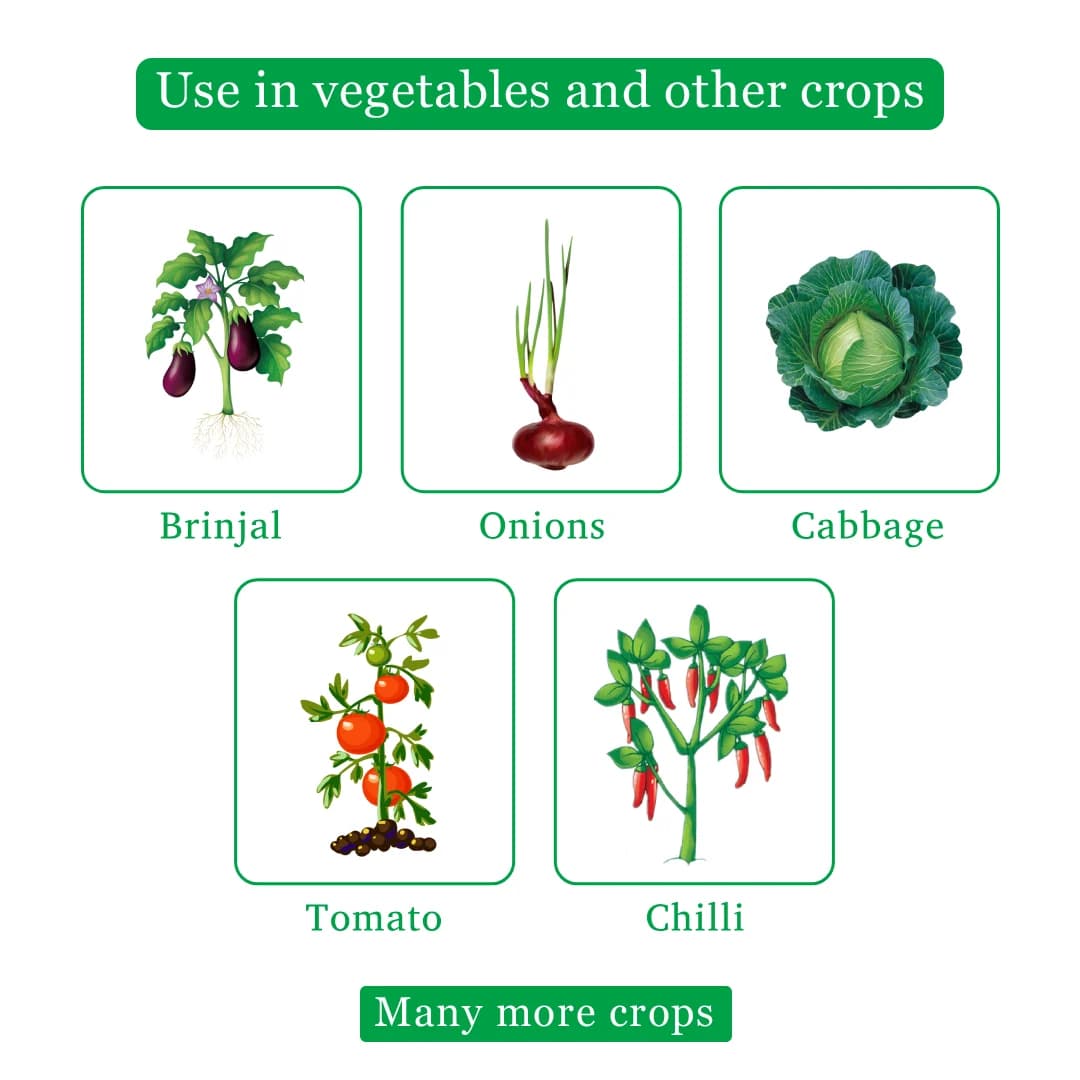 Adama Agil Herbicide - Image 4