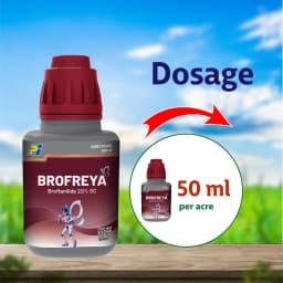 PI Brofreya Broflanilide 20% SC Mainly used for management of Lepidopteran & sucking pests 8