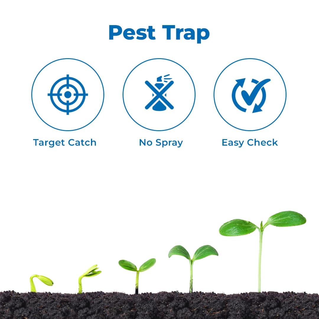 फेरोमोन ट्रैप और ल्यूर (राइन्कोफोरस फेरुगिनस) आरपीडब्ल्यू - रेड पाम वेविल, नारियल पाम, खजूर पाम, ऑयल पाम और एरेका नट पाम के लिए उपयोगी। - Image 3