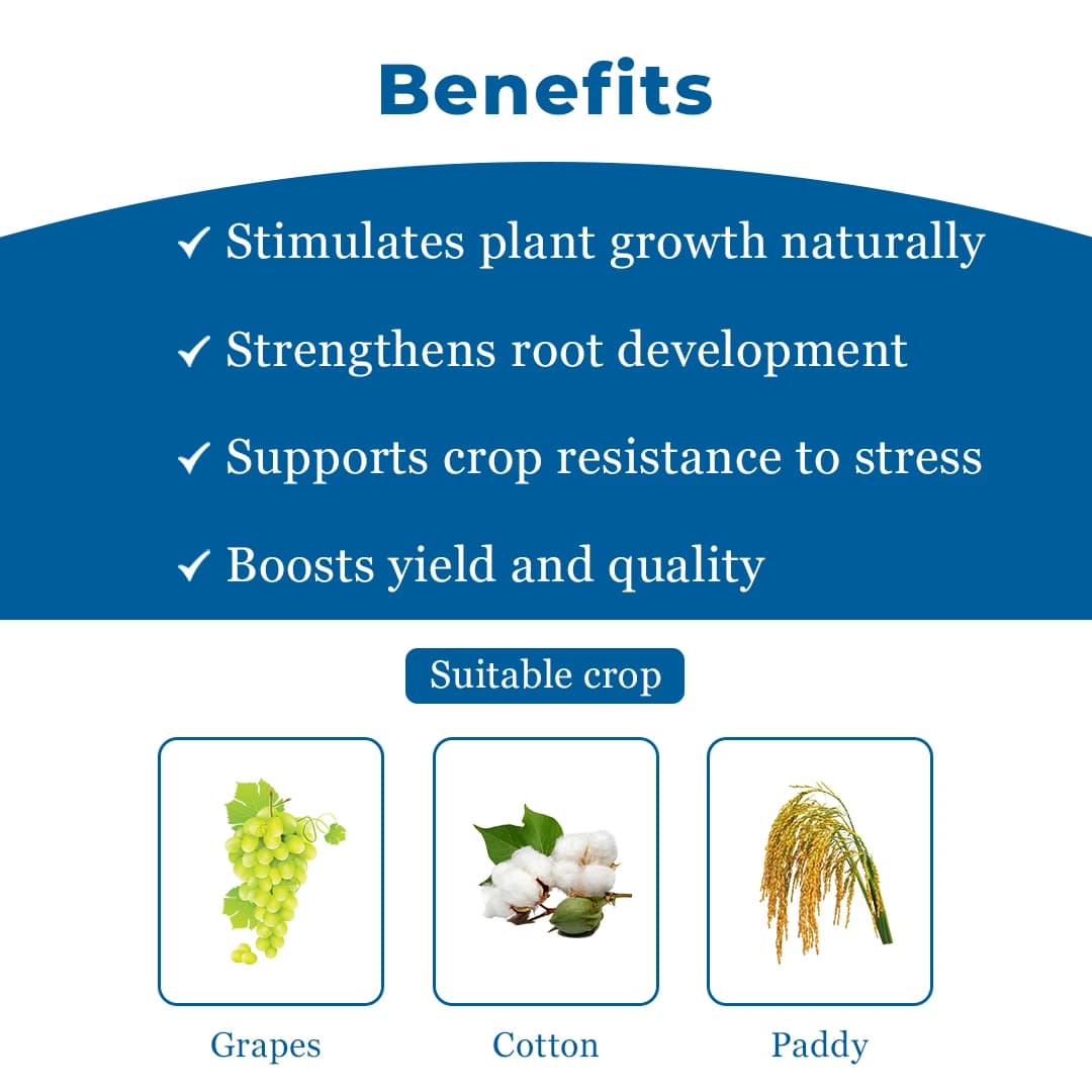 FMC Miracle Triacontanol 0.1% EW Crop Nutrition, Enhances the Vegetative Growth of the Plants - Image 4