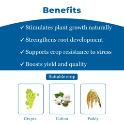 FMC Miracle Triacontanol 0.1% EW Crop Nutrition, Enhances the Vegetative Growth of the Plants 4