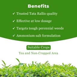 Tata Rallis Glytaf 71 Ammonium Salt Of Glyphosate 71% SG Herbicide, Effective Weed Control In Tea And Non-Crop Area 4