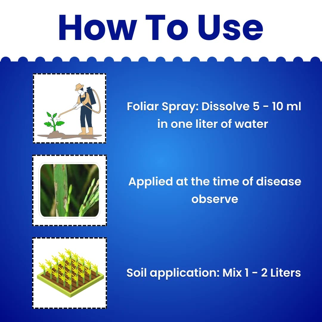 कात्यायनी ट्राईकोडर्मा विरिडे तरल जैव फफूंदनाशक, मिट्टी के स्वास्थ्य और रोग नियंत्रण के लिए - Image 5