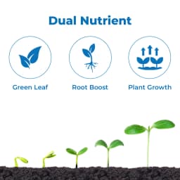 SML Techno-Z Sulphur 67% + Zinc 14% Microgranule Fertilizer for All Crops 2