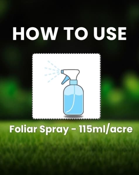 Katyayani Lemar Tembotrione 42% SC Herbicide, Broad Spectrum Post Emergence Herbicide, (Lemar 115 ml + Surfactant 400 ml) - Image 5