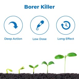 Summitomo Yunico Flow Chlorantraniliprole 18.5% SC, Broad Spectrum Insecticide For Various Crops 3