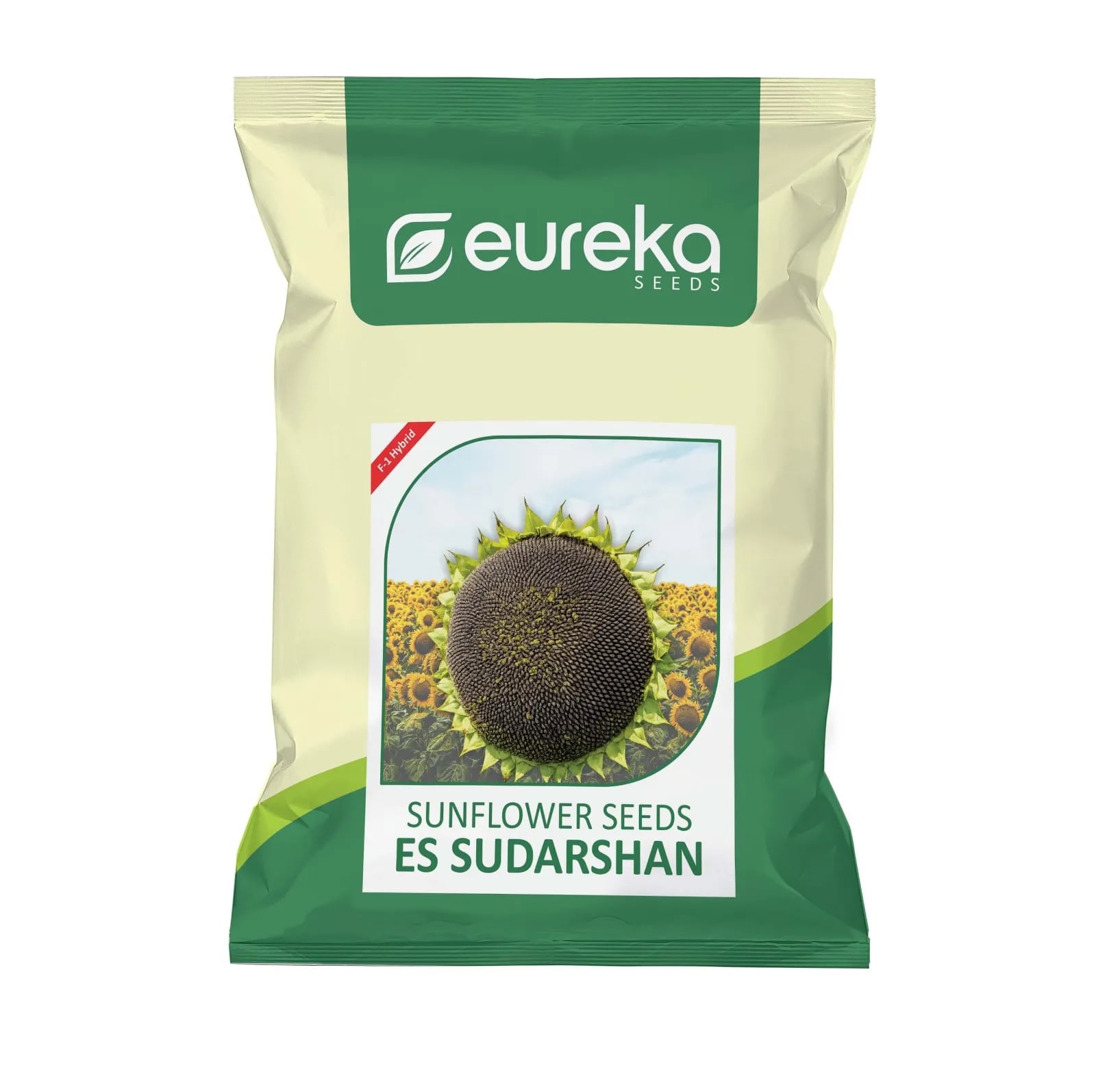 Eureka Seeds ES Sudarshan F1 Hybrid Sunflower Seeds For High Oil Yield Production