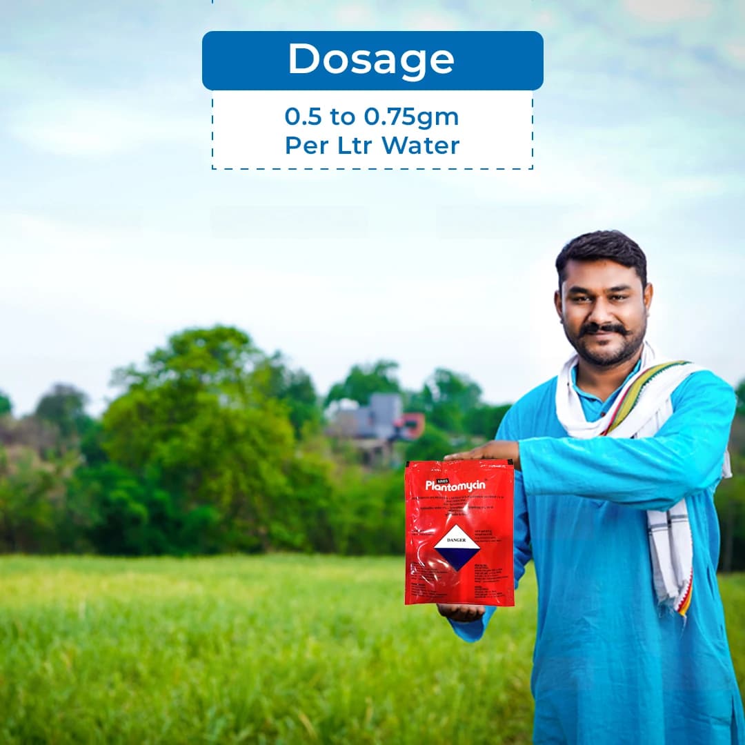 Aries Agro Plantomycin Fungicide - Image 5