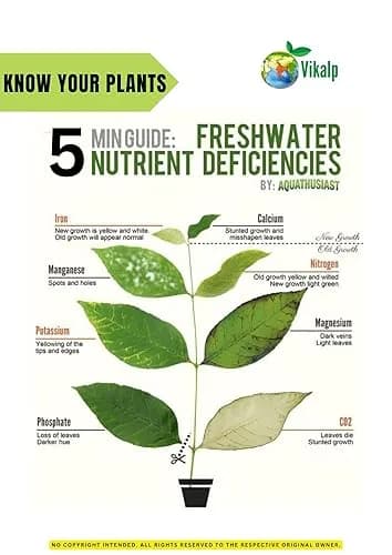 Vikalp Premium Seaweed Fertilizer Perfect Organic Fertilizer for Indoor and Outdoor Plants & All Types of Crops - Image 9