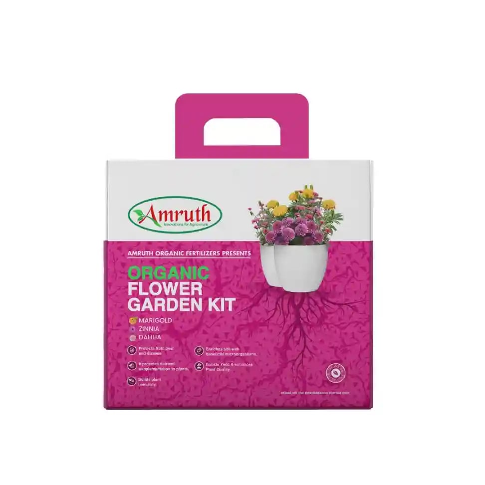 Amruth Organic Flower Kit, Garden Kit, DIY Kit, Grow Your Own Flowers in Kitchen Garden