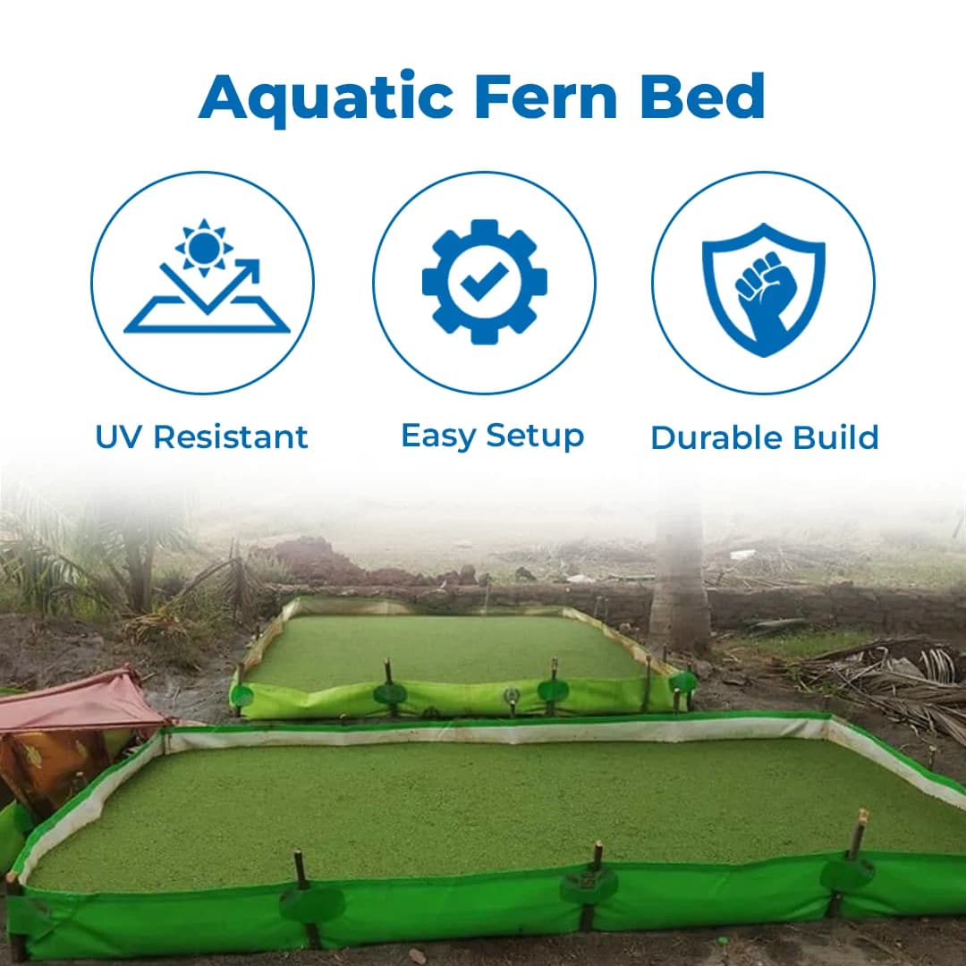 Megatex 450 GSM HDPE Organic Azolla Bed, Made From 100% Virgin HDPE Material - Image 3