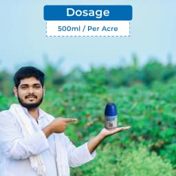 Orthol-02 Ortho Silicic Acid 2%, Improves Fruit Development And Quality, Best For Paddy, Sugarcane, Cotton, Tomato, Grapes, Apple, Citrus Crops 5