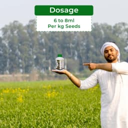 Cromin Seed+ Zincated Phosphate Suspension (NPK 00:14:00, Zn-17.5%) Provides effective nutrient input for early crop growth. 5