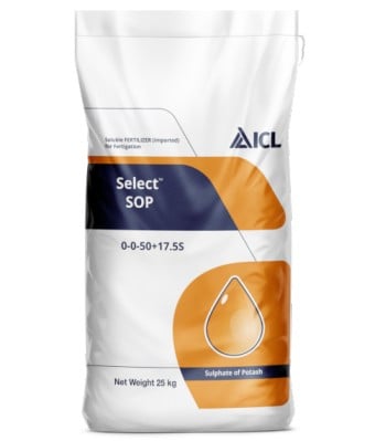 ICL Select SOP 0-0-50 + 17.5S Fertilizer