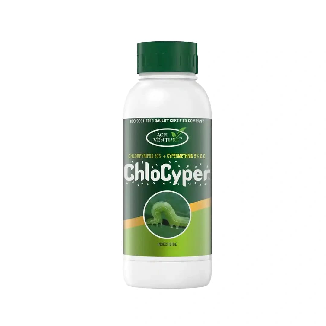 Agriventure Chlocyper (Chlorpyriphos 50% + Cypermethrin 5% Ec) Insecticides