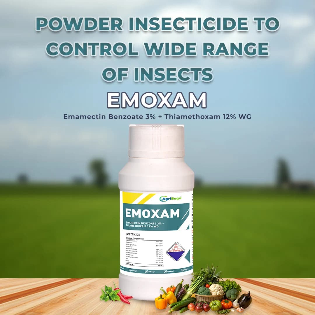 Emoxam - Emamectin Benzoate 3% + Thiamethoxam 12% WG - Image 2