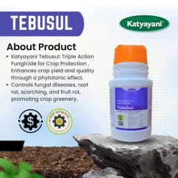 Katyayani Tebusul Tebuconazole 10% + Sulphur 65% WG Effective Fungicide for Plants & Home Garden 3