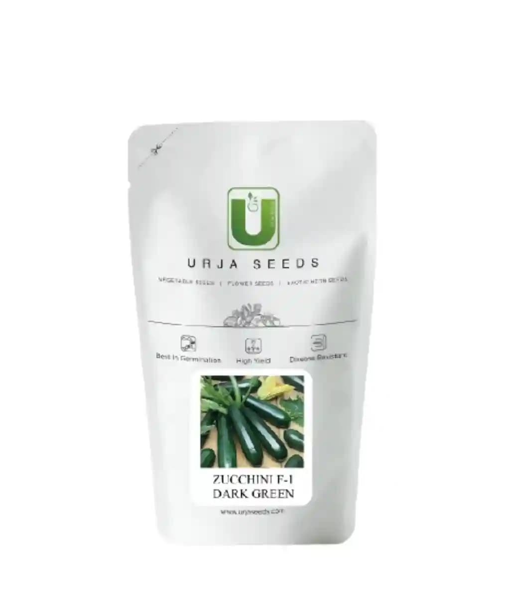 ऊर्जा ज़ुचिनी एफ1 हाइब्रिड टाइटन (गहरा हरा) सब्जी के बीज, सर्वोत्तम अंकुरण गुणवत्ता। - Image 2