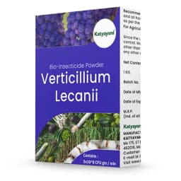 Katyayani Verticillium Lecani Powder Bio Insecticide, For Natural Pest Control and Sustainable Crop Protection 2