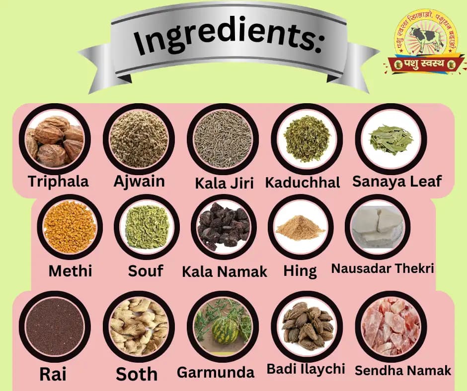 PASHU SVASTH Fanki Powder, Animal Health Supplements, Healthy Tummies, Happy Animals, Efficient For Cattle And Buffalos - Image 5