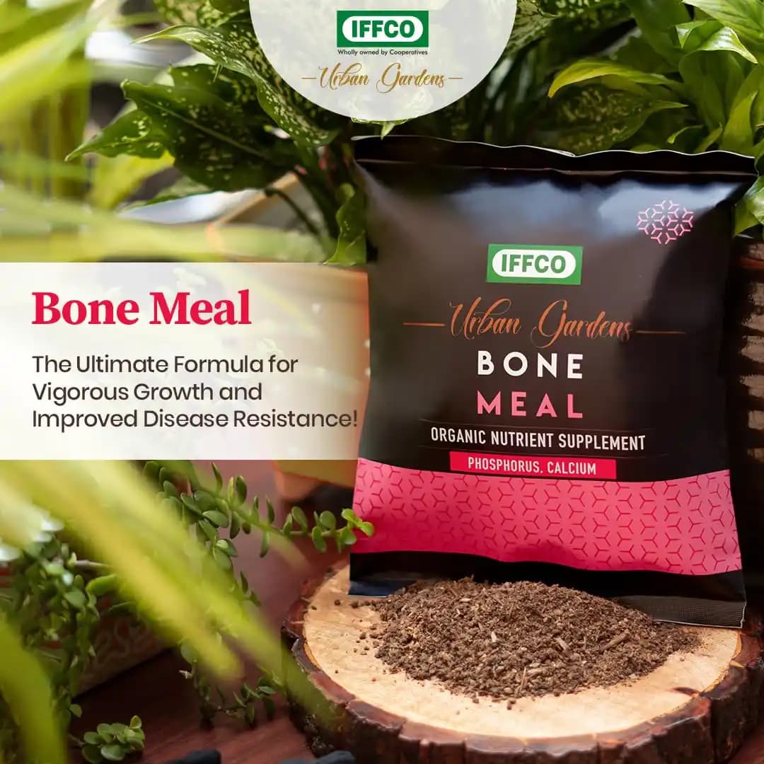 IFFCO Bone Meal Organic Phosphorus And Calcium Fertilizer, Healthy Plants, Flowering And Root Growth - Image 2