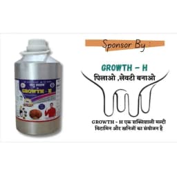 PASHU SVASTH GROWTH H, Liquid, Animal Feed Supplement For Cows, Buffaloes, Dogs, Cats And Birds 3