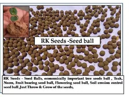 RK Seeds - Seed Balls, Economically Important Tree Seeds Ball, Teak, Neem, Fruit Bearing Seeds Ball, Flowering Seed, Soil Erosion Control Seed Ball - Image 2