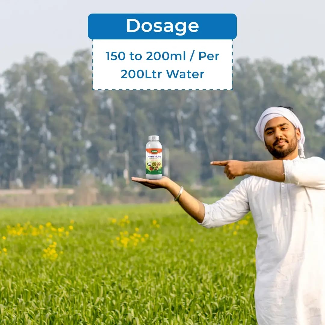 Katyayani Nutritious Triacontanol 0.1% EW Plant Growth Regulator for all Plants and Home Garden, Improves Quality and Yield - Image 5