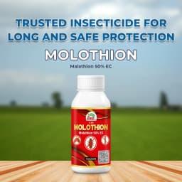 EBS Molothion Insecticide - Malathion 50% EC 2