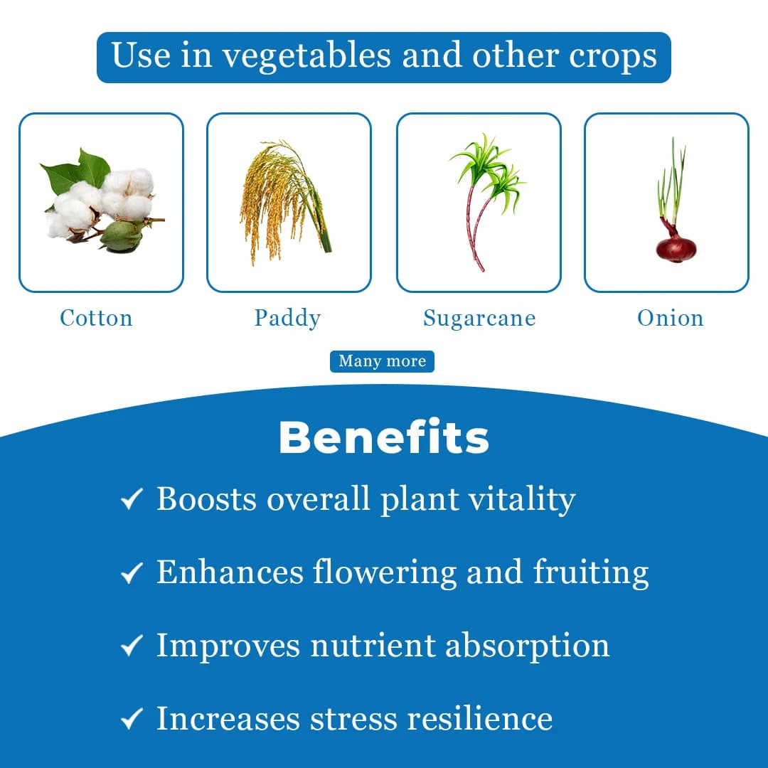 HPM 24 KARAT (Gibberellic Acid 0.001% L), Unique Combination Of Seaweed Extracts And Gibberellic Acid - Image 4