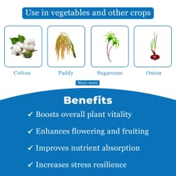 HPM 24 KARAT (Gibberellic Acid 0.001% L), Unique Combination Of Seaweed Extracts And Gibberellic Acid 4