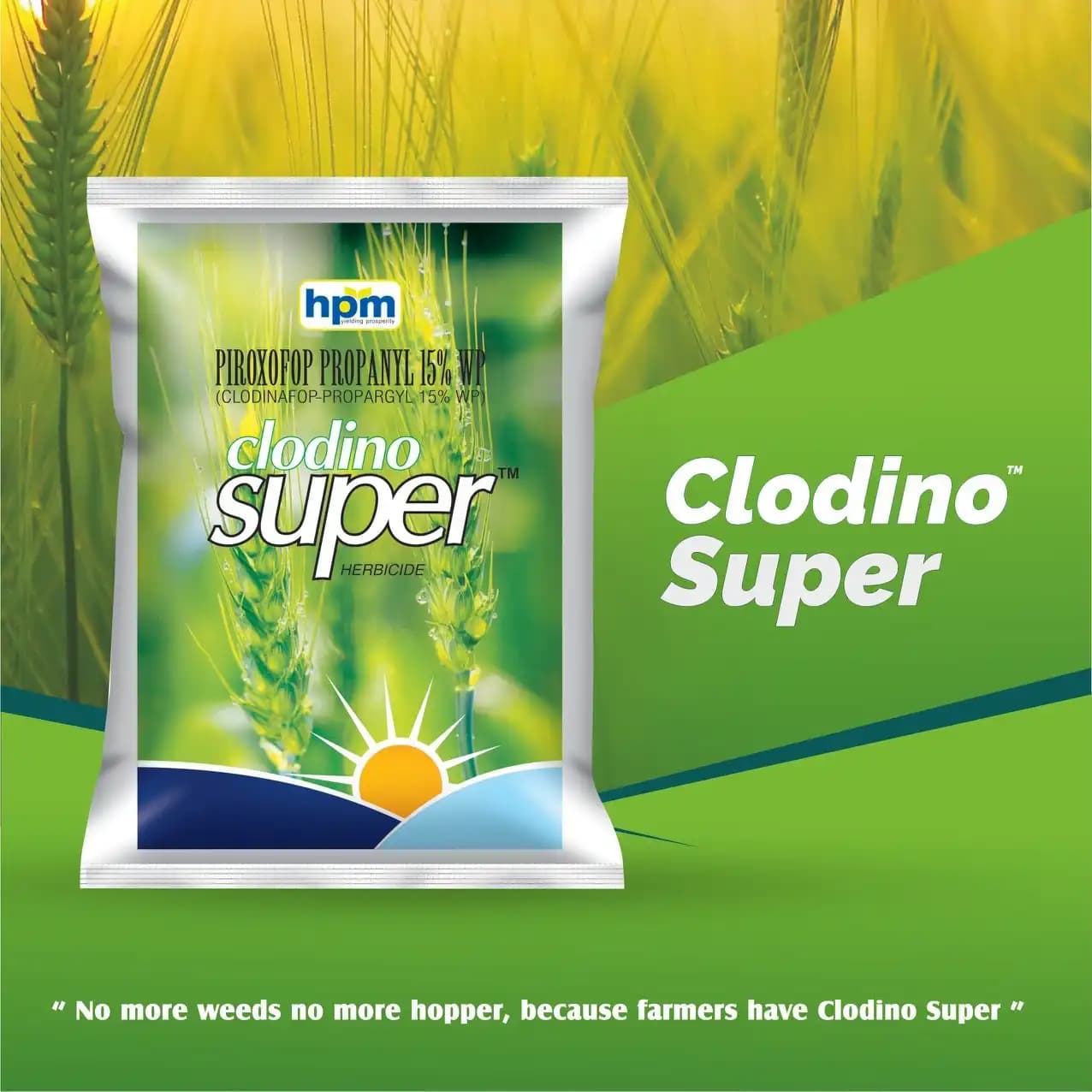 Hpm Clodino Super Clodinafop-propargyl 15% WP Herbicide, Effective For Grass Weed Control In Wheat - Image 2