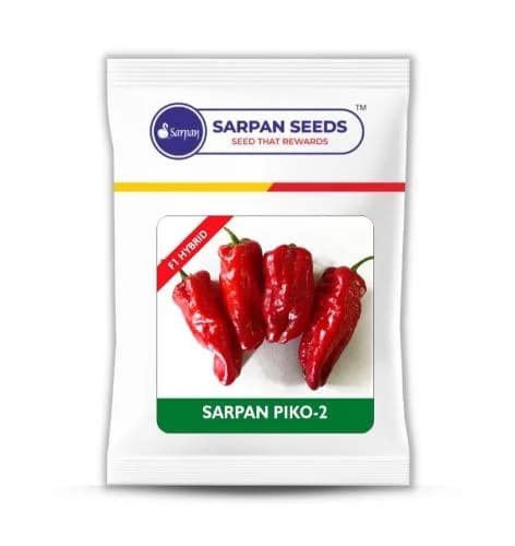 Sarpan F1 Hybrid Chilli Piko 2 Seeds, The Best Green - Red Variety, Mirchi ke Beej. - Image 1
