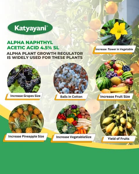 Katyayani Fix IT Alpha Naphthyl Acetic Acid 4.5% SL Plant Growth Regulator, Liquid For Chilli, Mango - Image 4