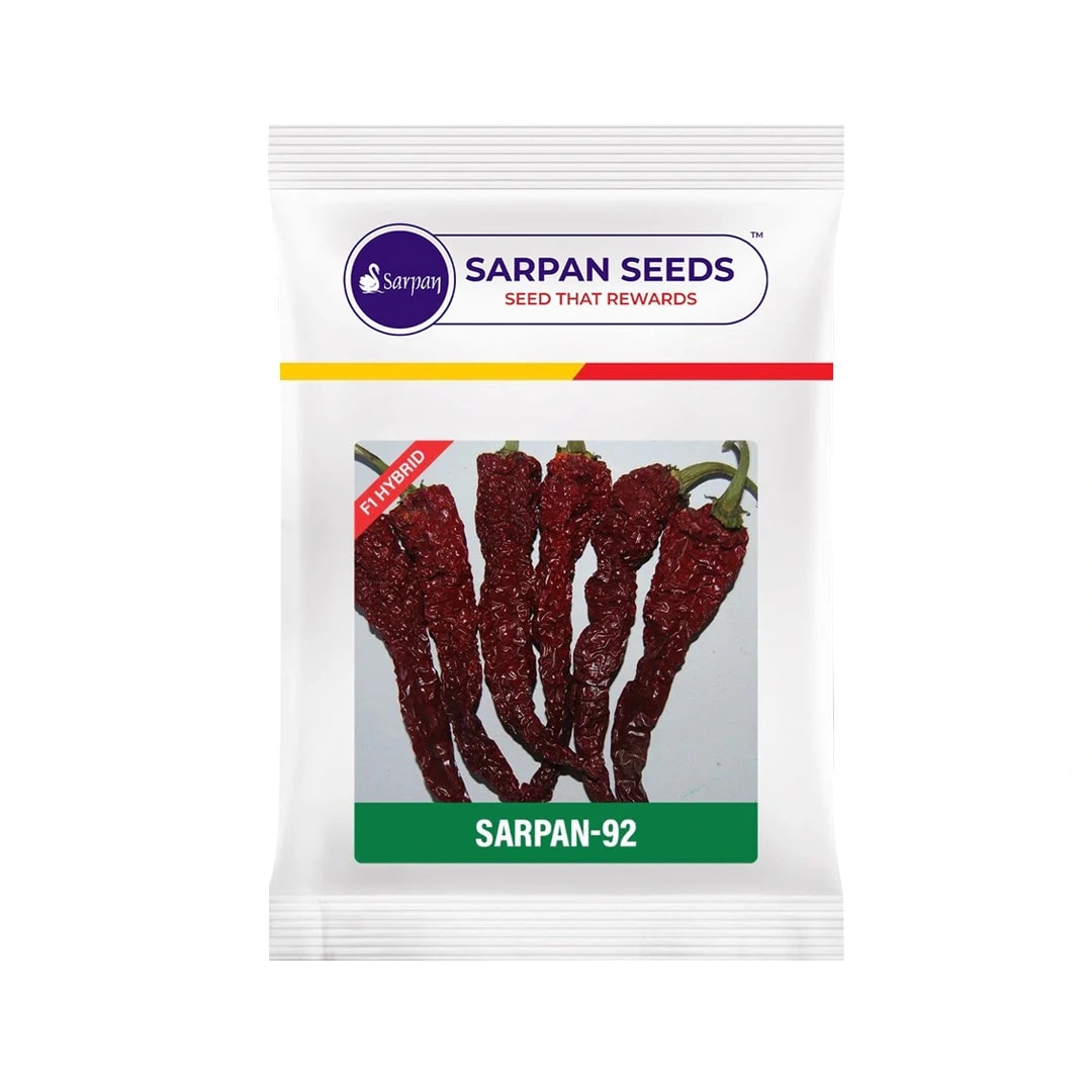 Sarpan F1- 92 Dabbi Byadgi Chilli seeds, Mirchi Ke Seeds, Marcha Na Bee, Mirchi ke Beej