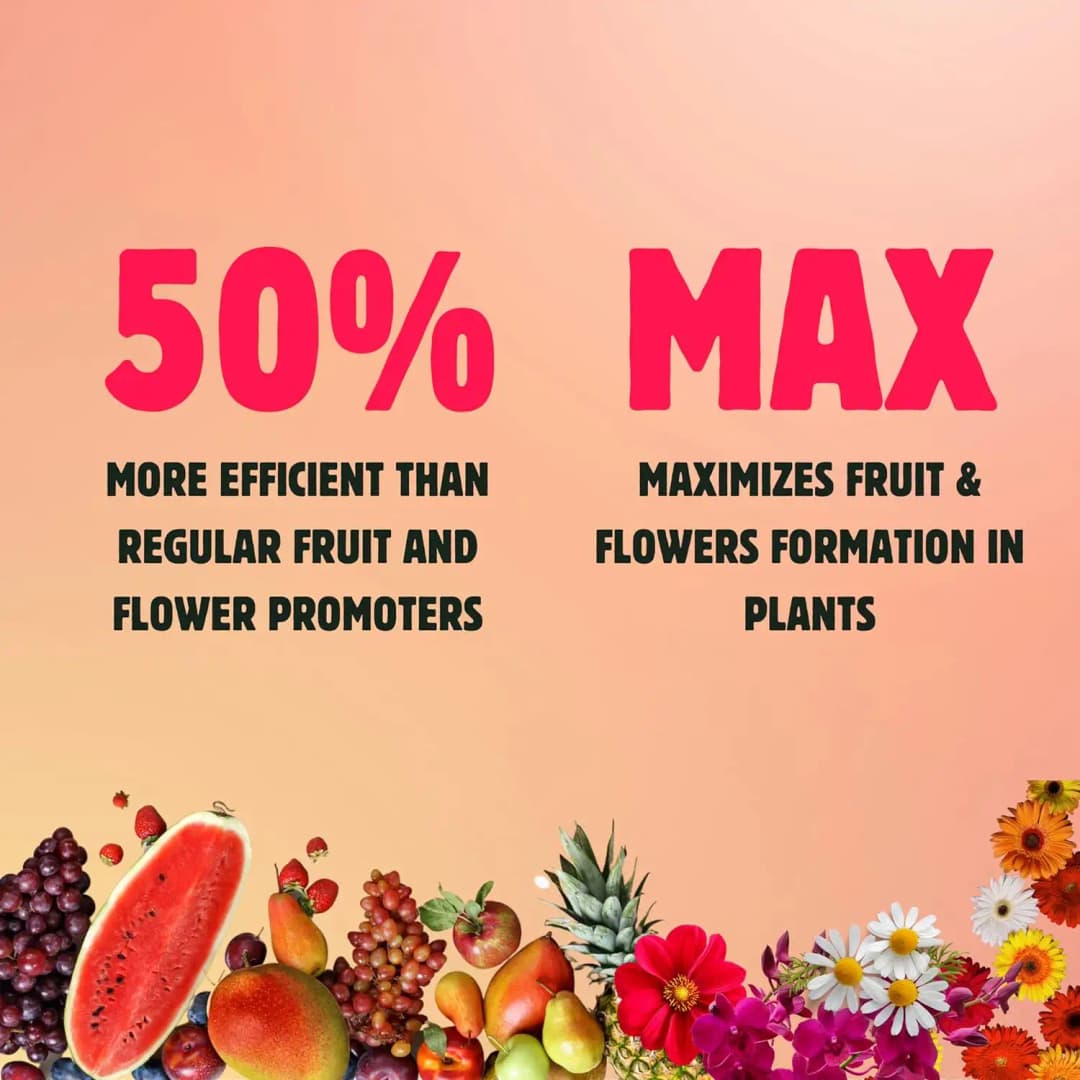 BloomBuddy Fruit and Flower Fix, Organic Liquid Fertilizer with NPK & Micronutrients - Image 3