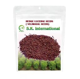SK International Hedge Lucerne Seeds (Velimasal, Dasrath Grass Seeds) For Cattle Fodder 1