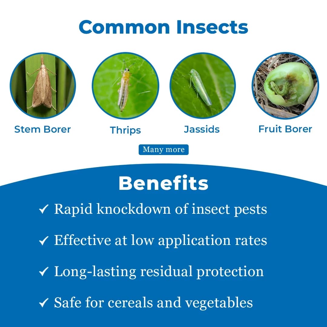 प्रहार - लैम्ब्डा साइहैलोथ्रिन 5% ईसी. विभिन्न फसलों में रस-चूसने वाले कीट और इल्ली कीटों के नियंत्रण के लिए। - Image 3